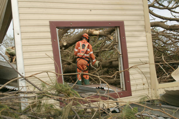 How Our Tree Care Process Works  in  Rohnert Park, CA